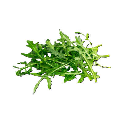 Arugula