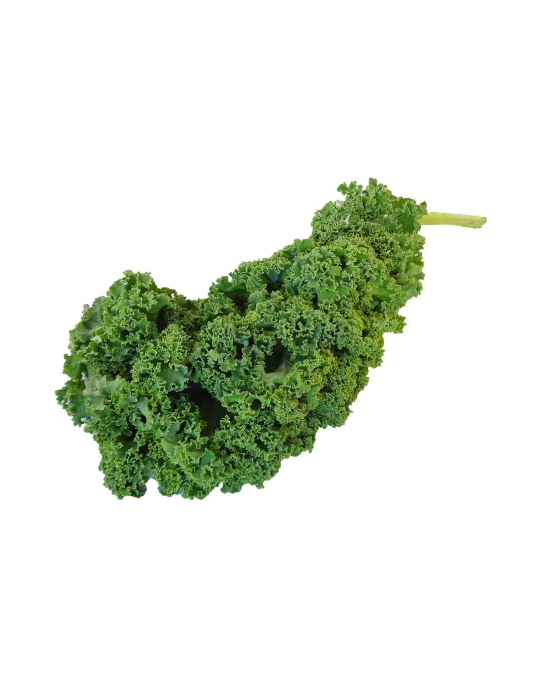 Kale