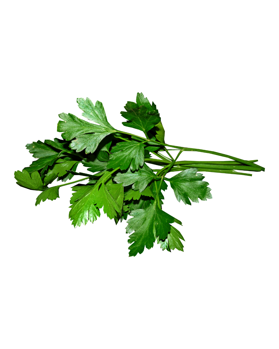 Parsley
