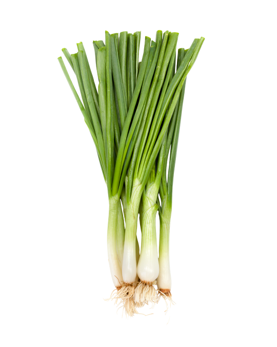 Scallions