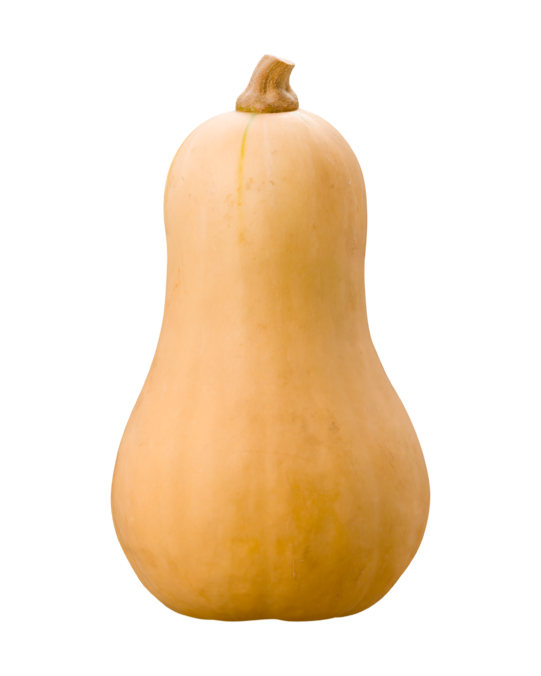 Squash